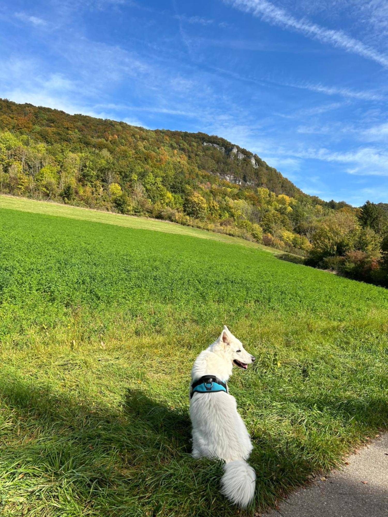 Laendliche Fewo Wildblume, 4 Km Zum Stausee Happurg Exterior foto